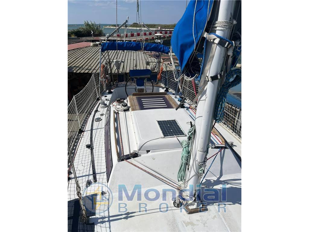 Mako sailer New ranger