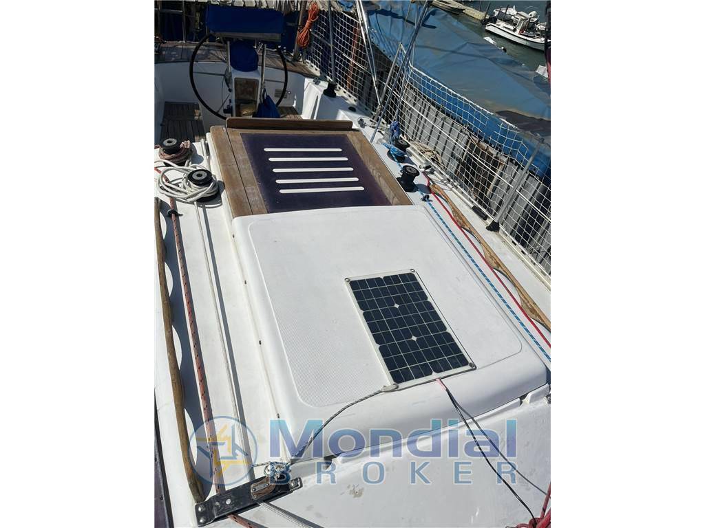 Mako sailer New ranger