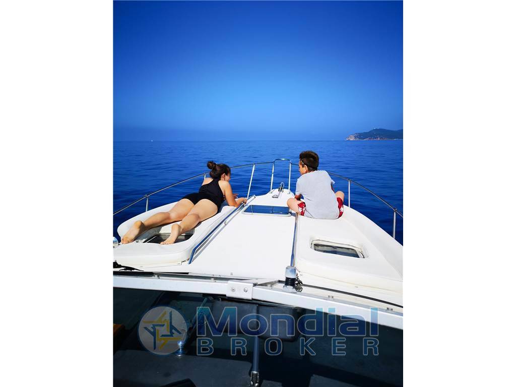 Sea ray 290 da