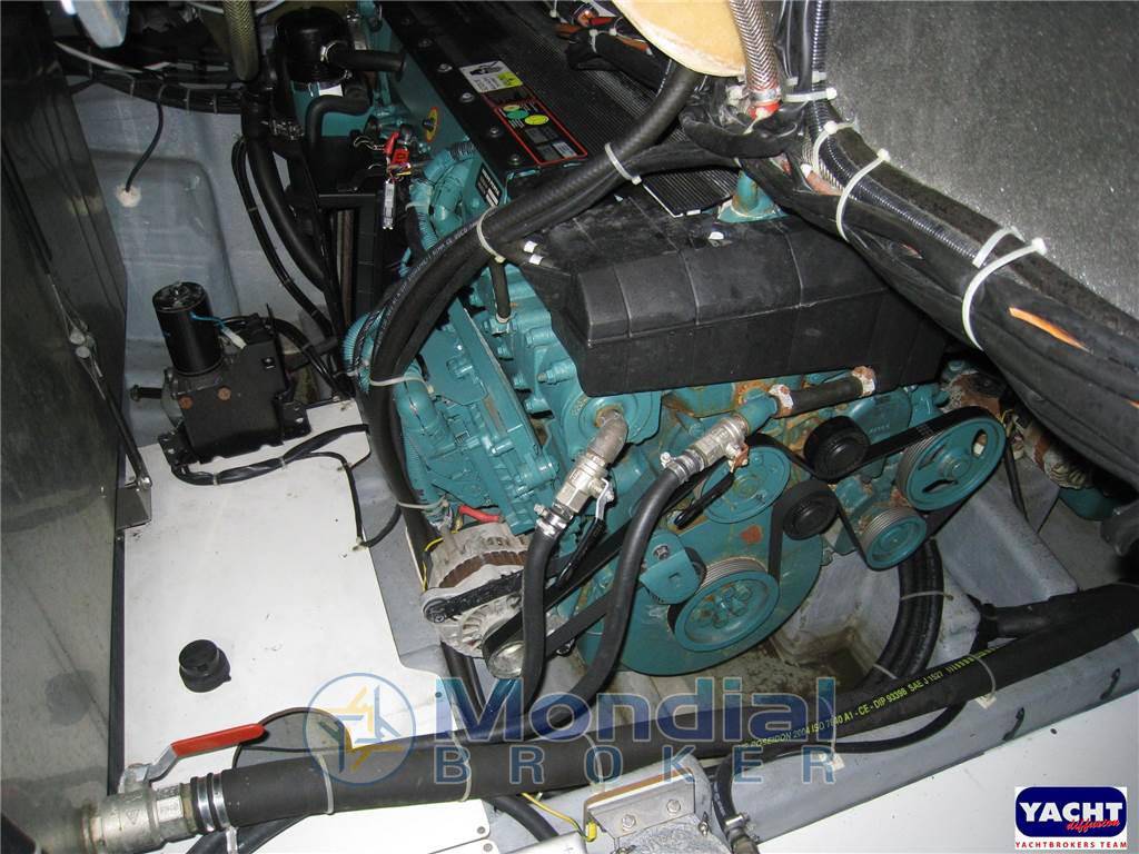 Absolute 41