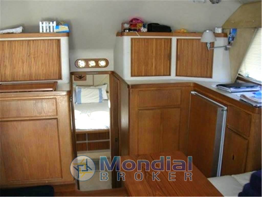 Bertram yacht 37' convertible