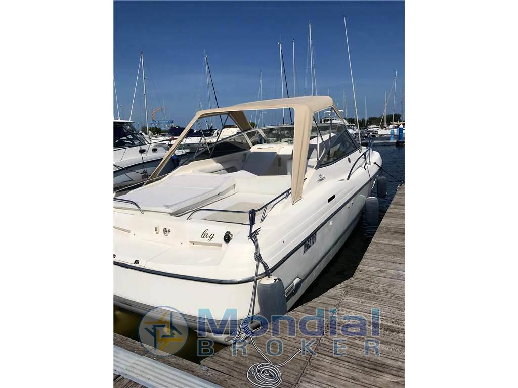 Cranchi Acquamarina 31
