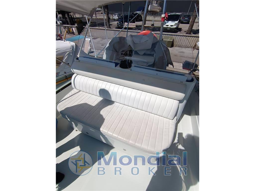 Mochi craft Dominator 34 fly fish