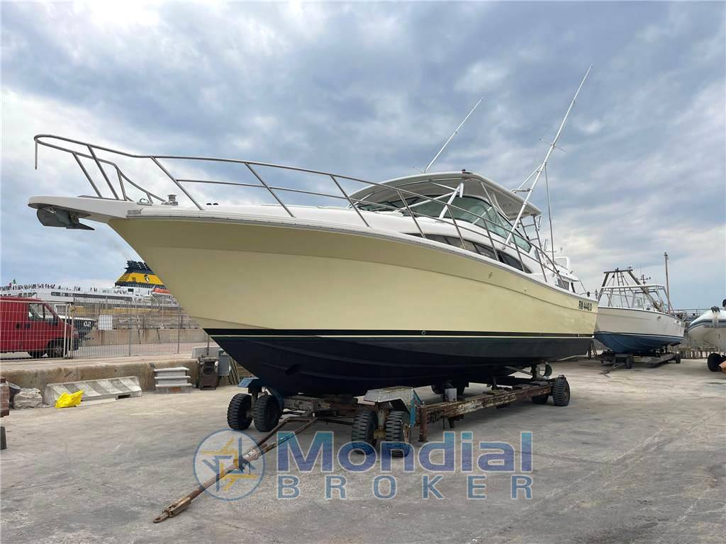 Bertram yacht 360 moppie