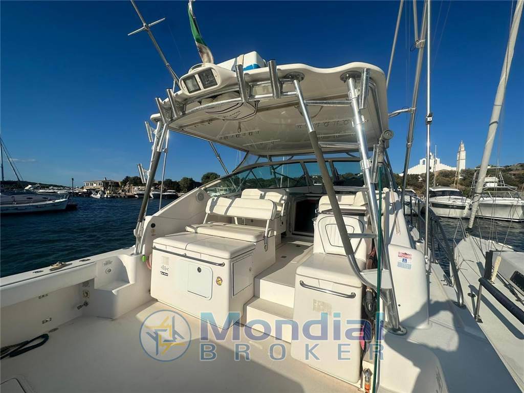 Bertram yacht 360 moppie