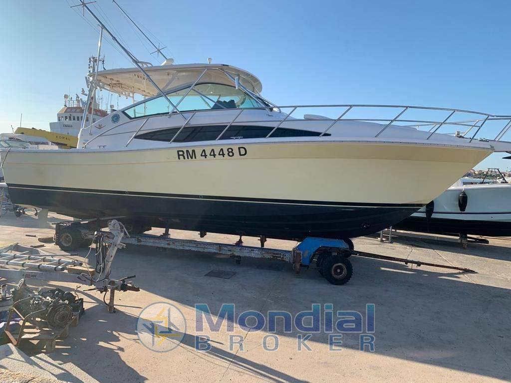 Bertram yacht 360 moppie