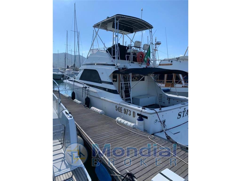 Bertram yacht 37' convertible