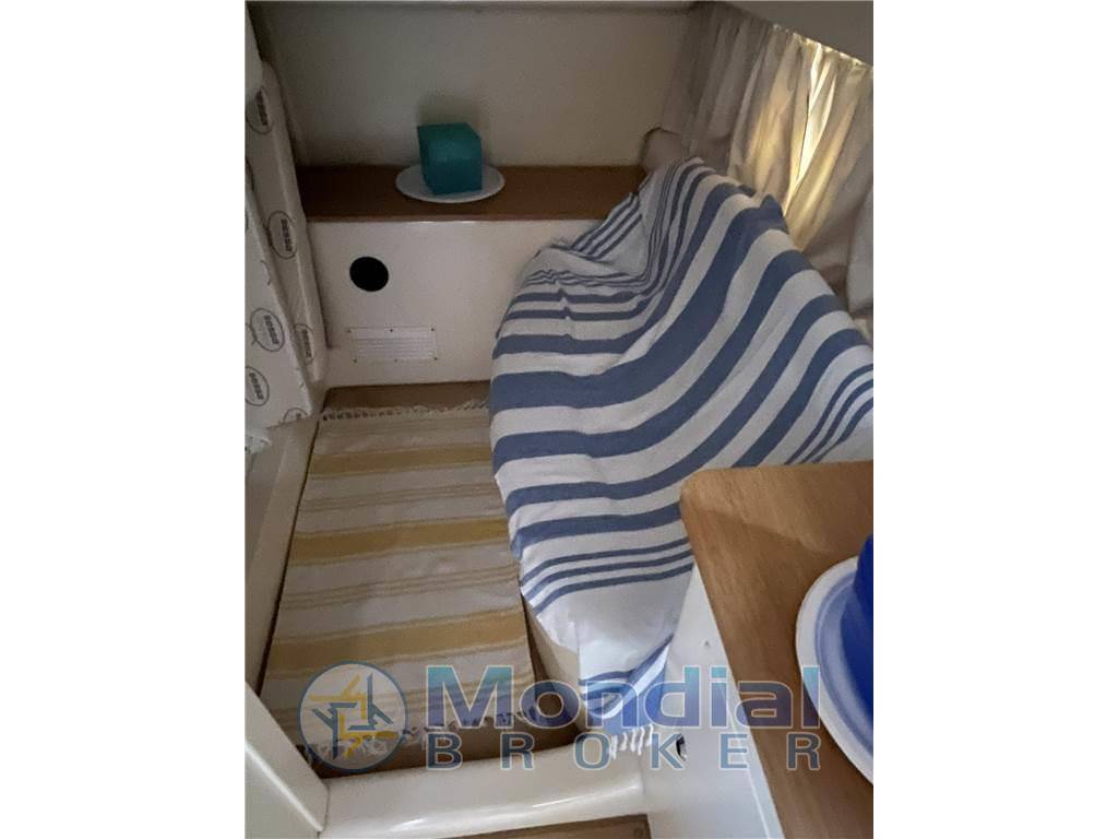 Sessa marine Sessa c 35