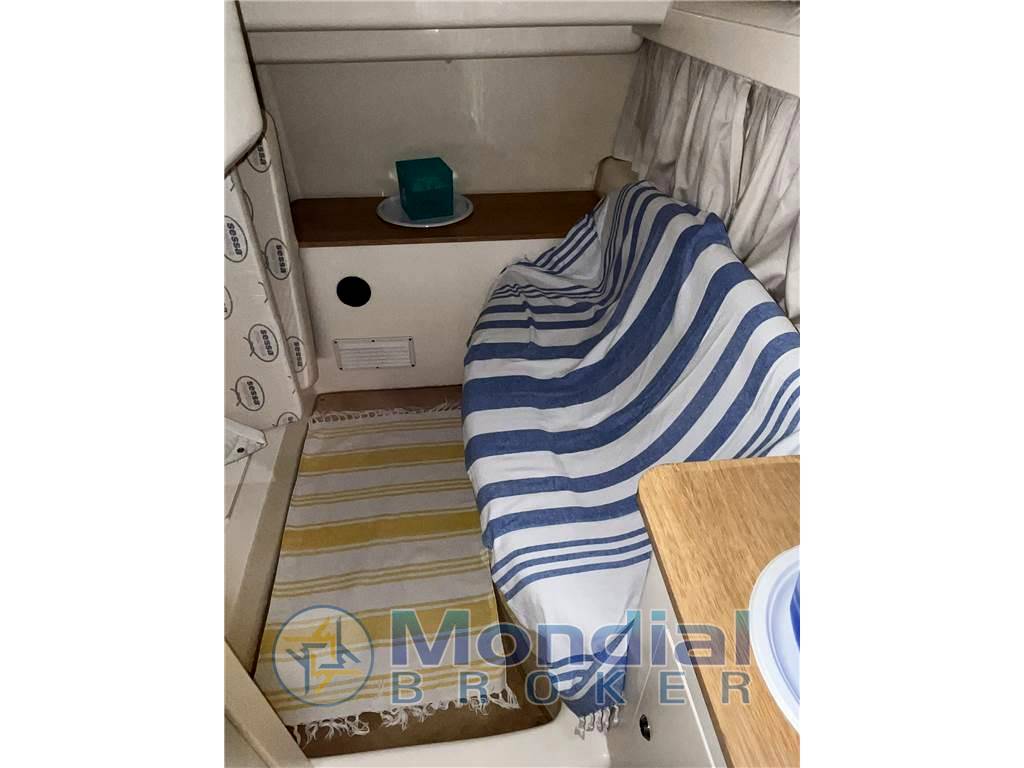 Sessa marine Sessa c 35