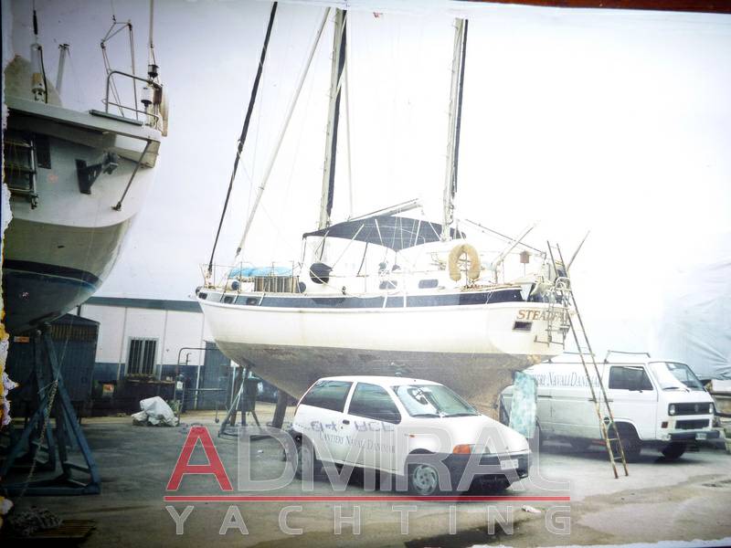 Morgan Out island 41