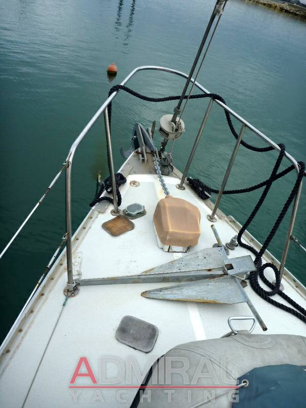 Morgan Out island 41