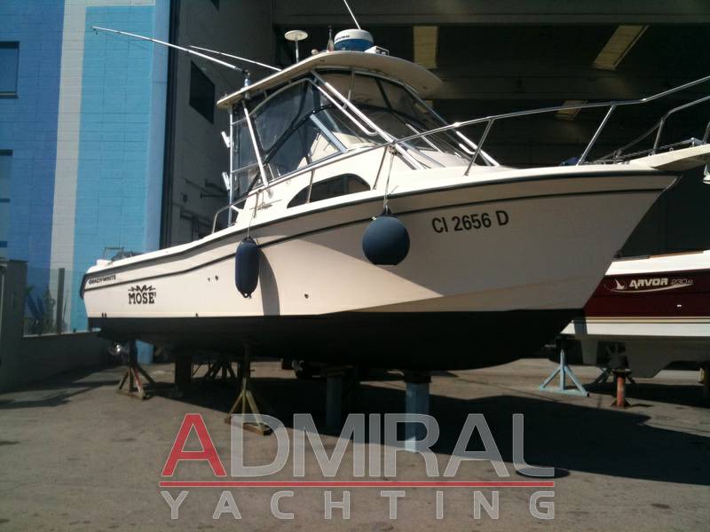 Grady white 282 sail fish