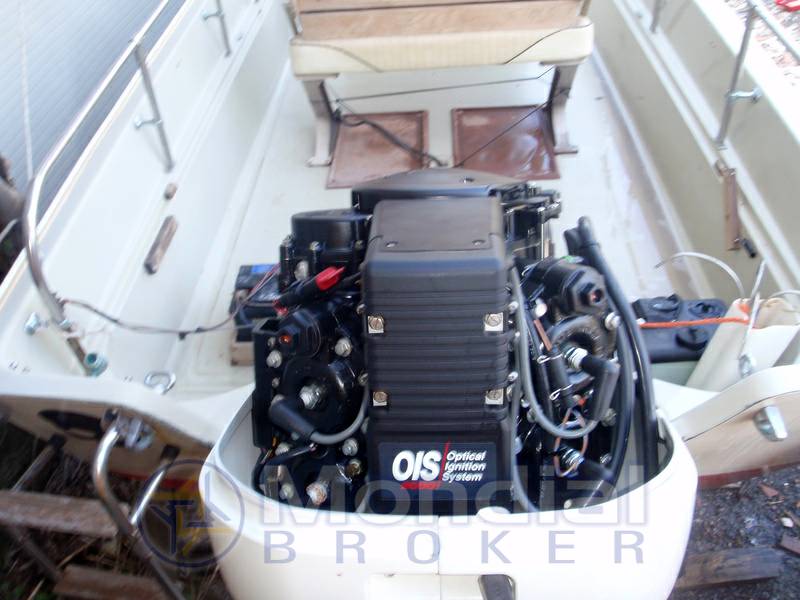 Boston whaler Montauk 17