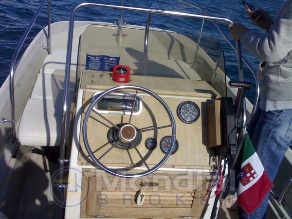 Boston whaler Montauk 17