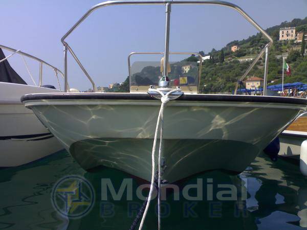 Boston whaler Montauk 17