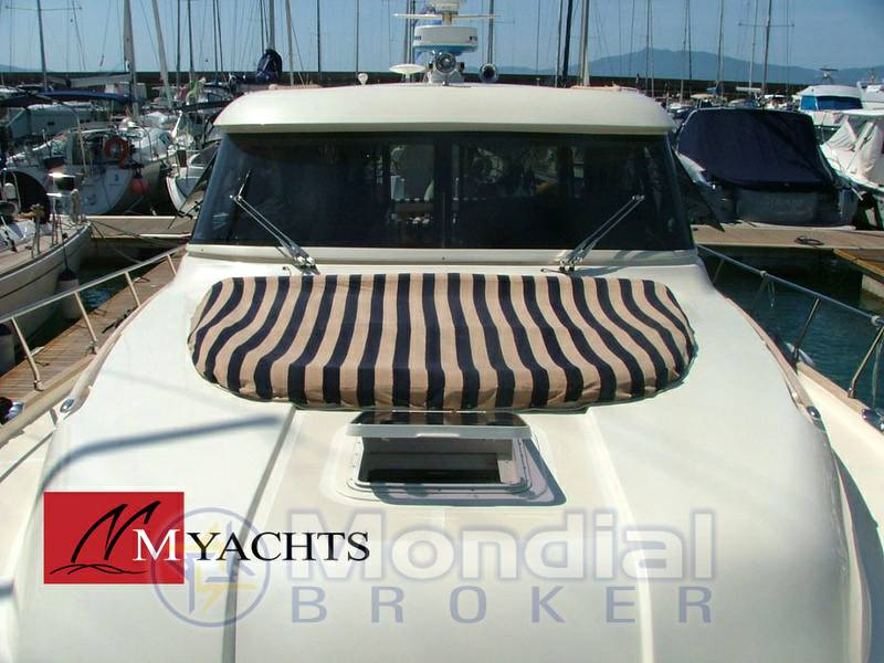 Mochi craft Dolphin 51