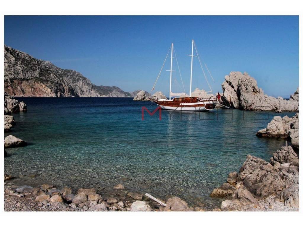 Gulet A. deniz