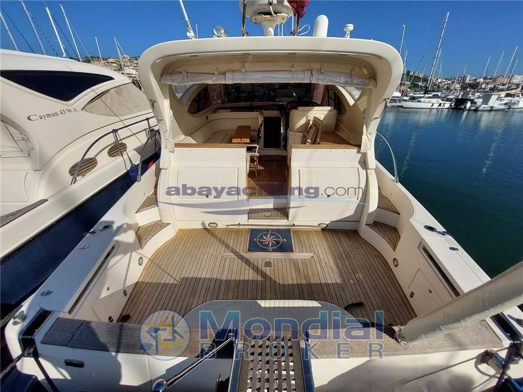Cayman 43 wa
