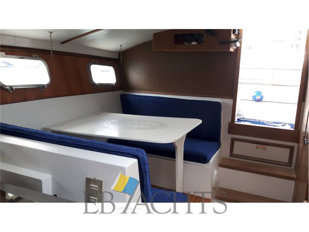Magnum marine 38 (in charter)