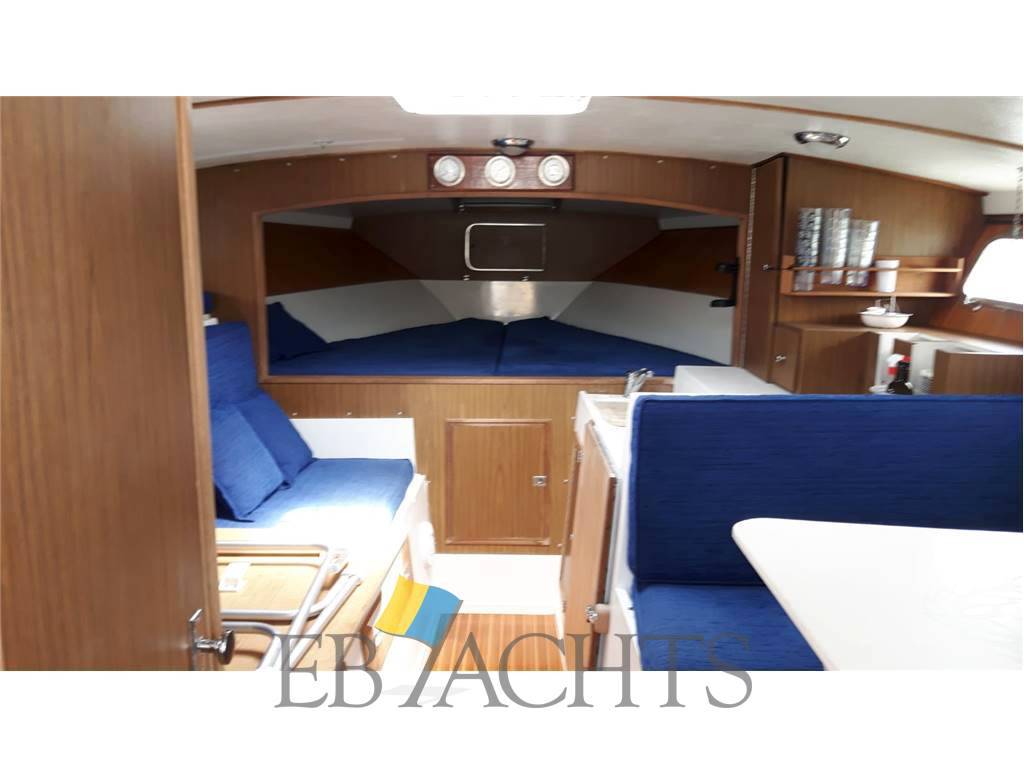 Magnum marine 38 (in charter)