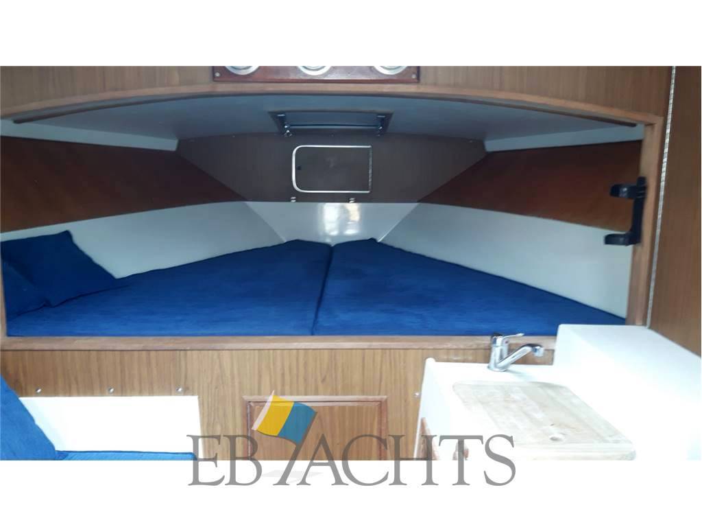 Magnum marine 38 (in charter)