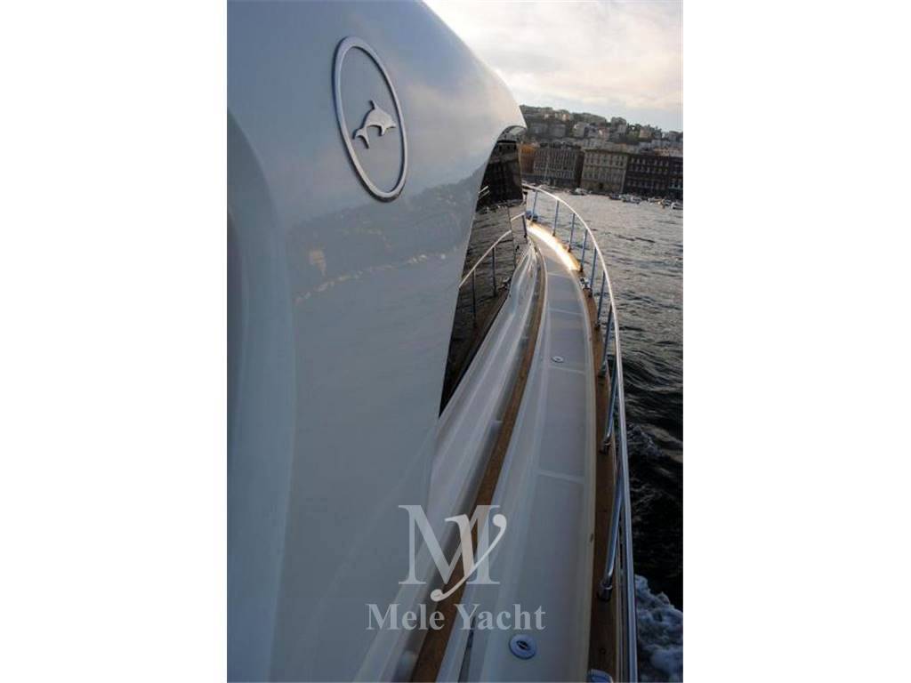 Mochi 51 dolphin