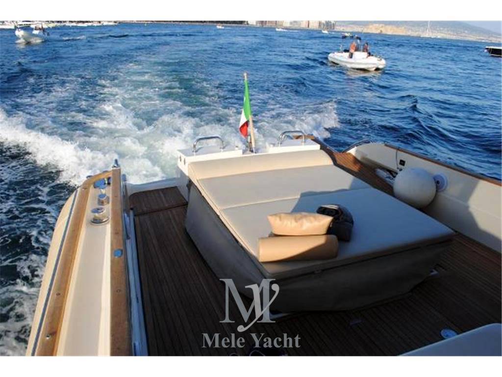 Mochi 51 dolphin