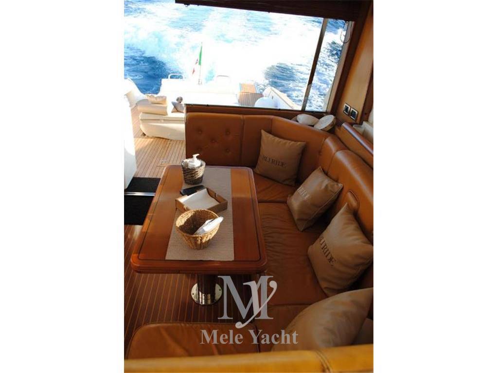 Mochi 51 dolphin