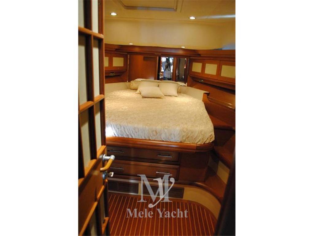 Mochi 51 dolphin