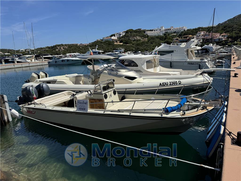Boston whaler Outrage 25