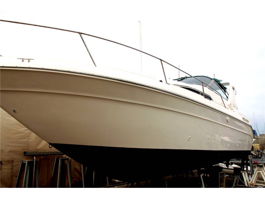 Sea ray 300