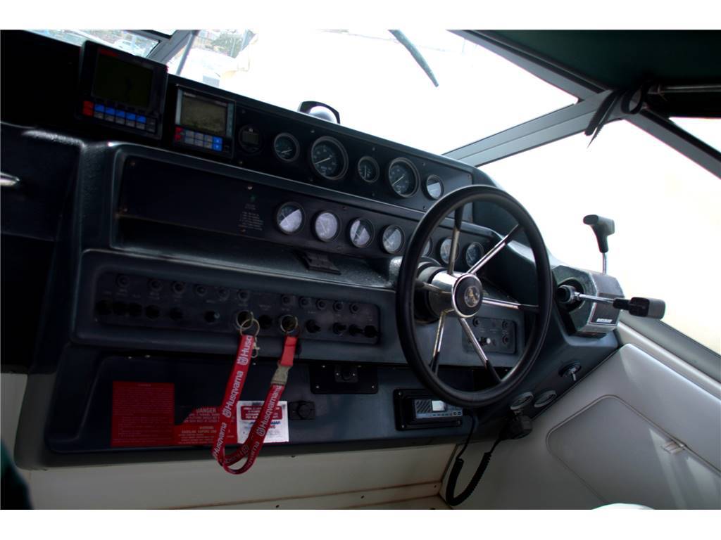 Sea ray 300