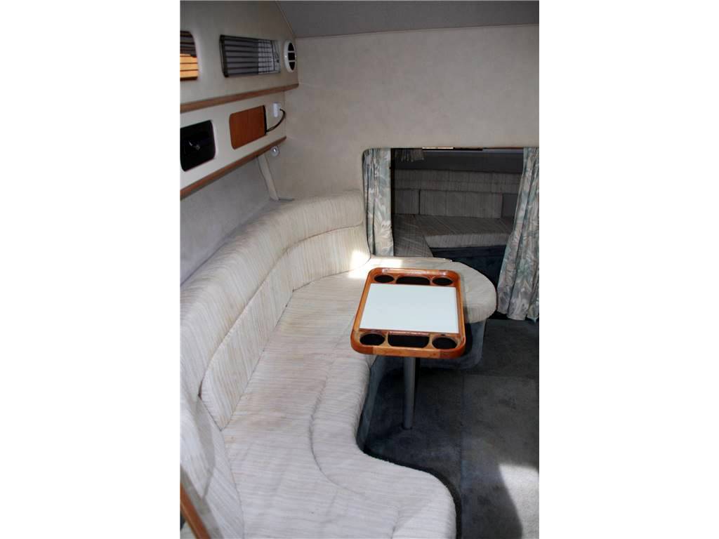 Sea ray 300