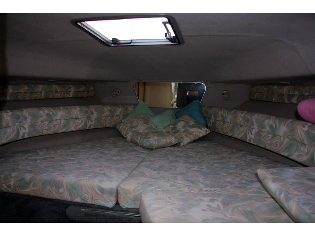 Sea ray 300