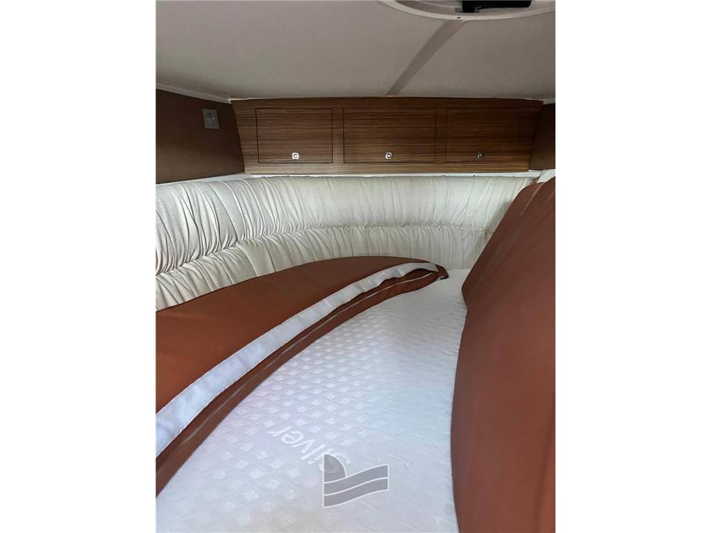 Ranieri international Shadow 30