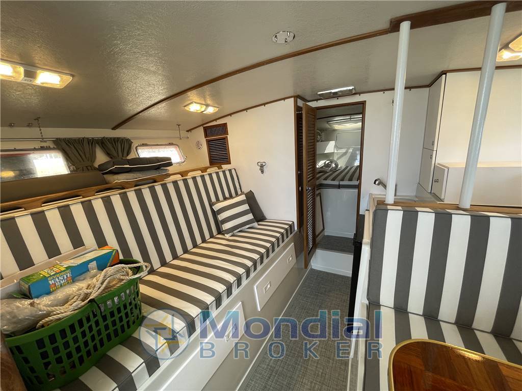 Magnum marine 35 hard top