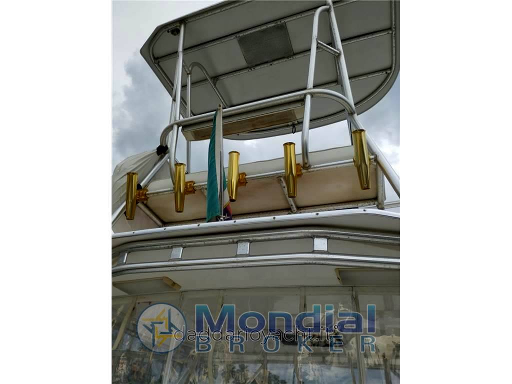 Luhrs 28 open