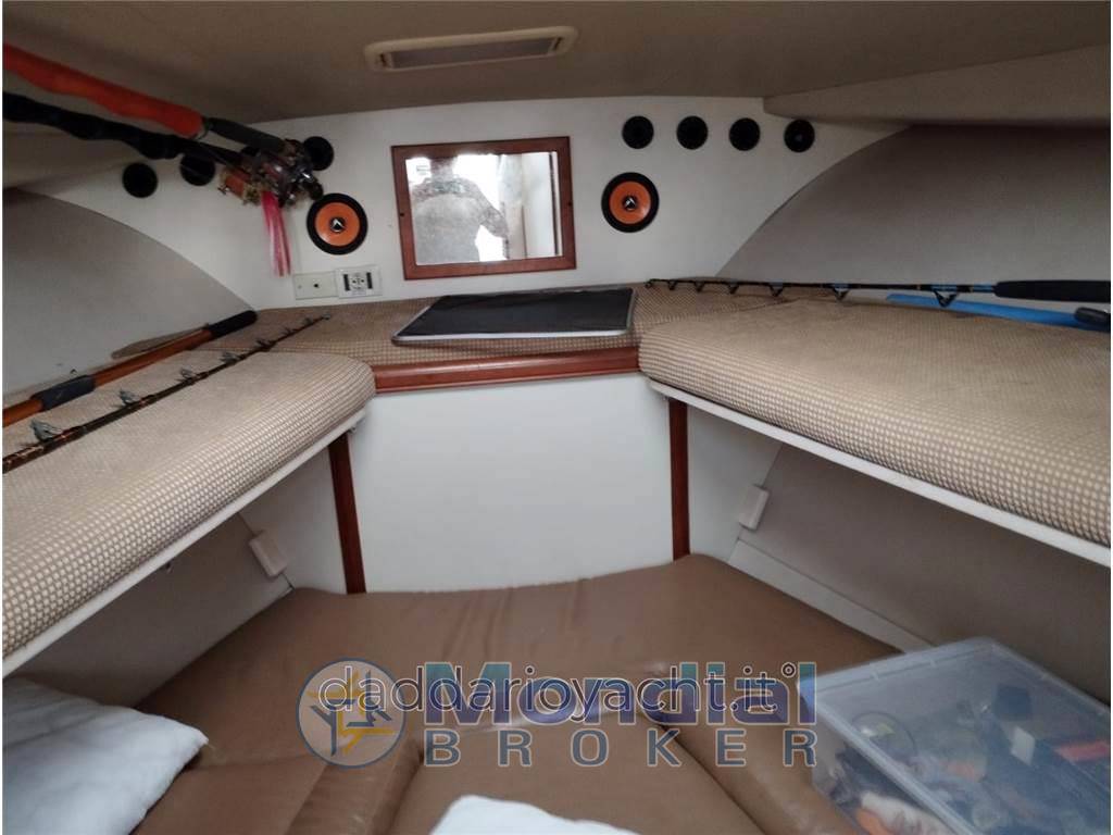 Luhrs 28 open