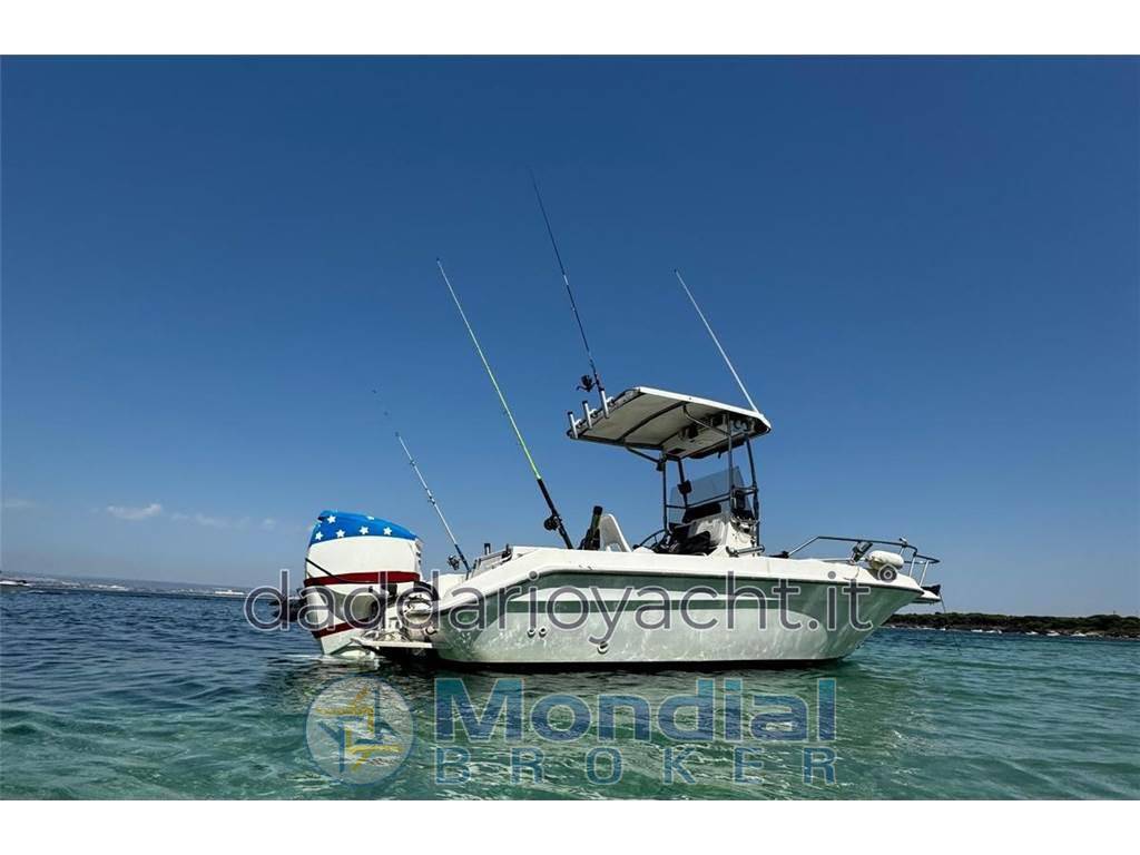 Sea ray Laguna 17