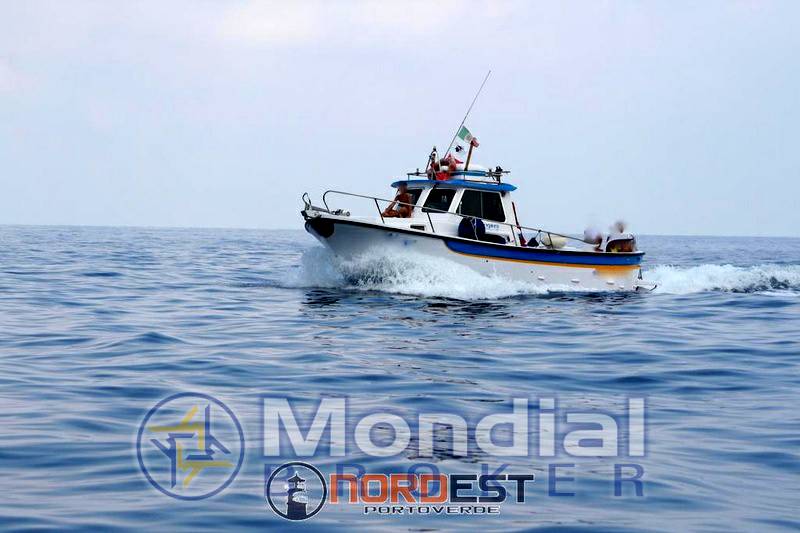 Sparviero 7.90