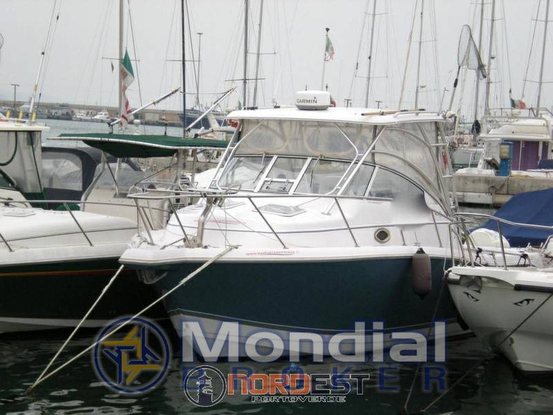 Proline 32 express