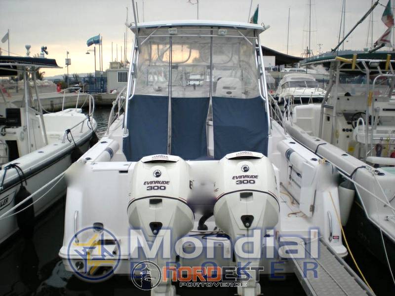 Proline 32 express