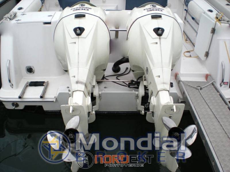 Proline 32 express