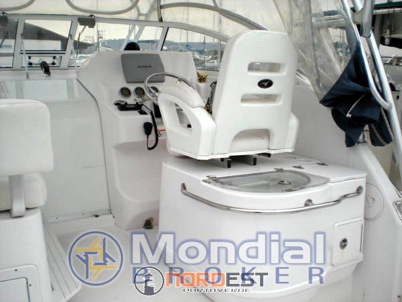 Proline 32 express