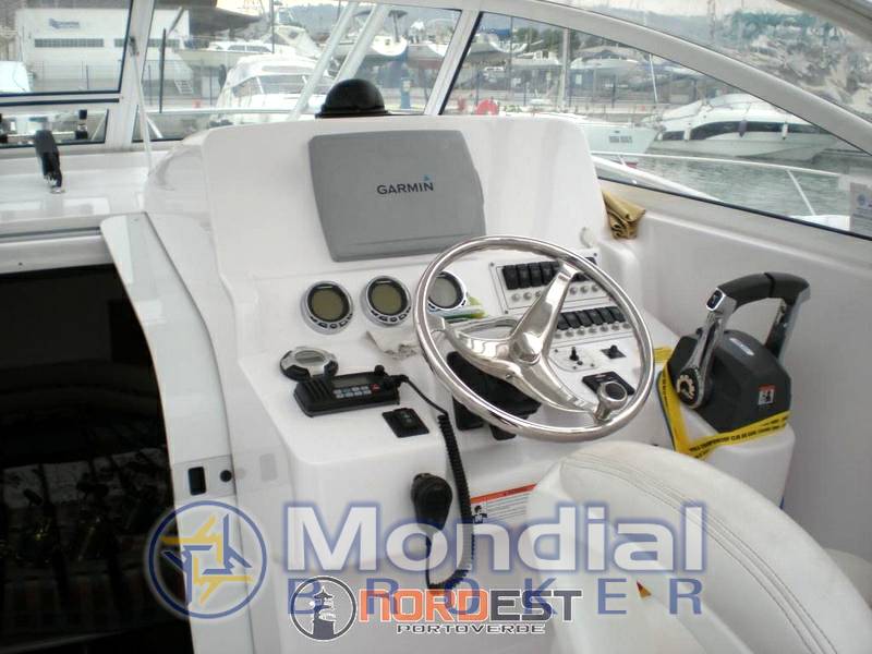Proline 32 express