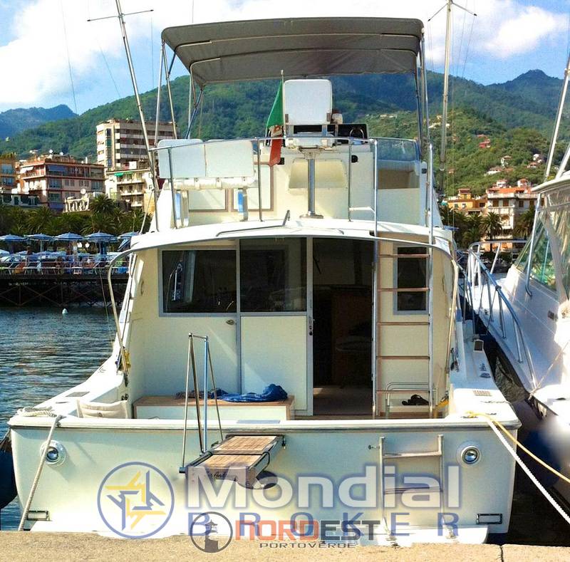 Bertram 38