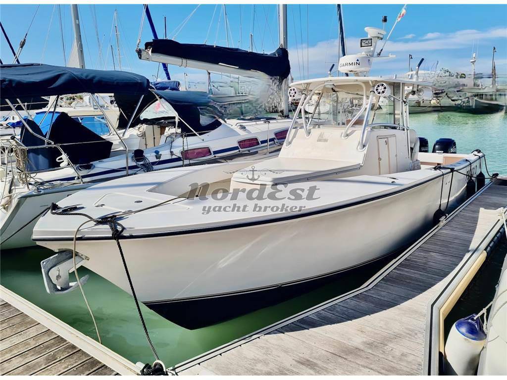 Al custom 30 wa walkaround