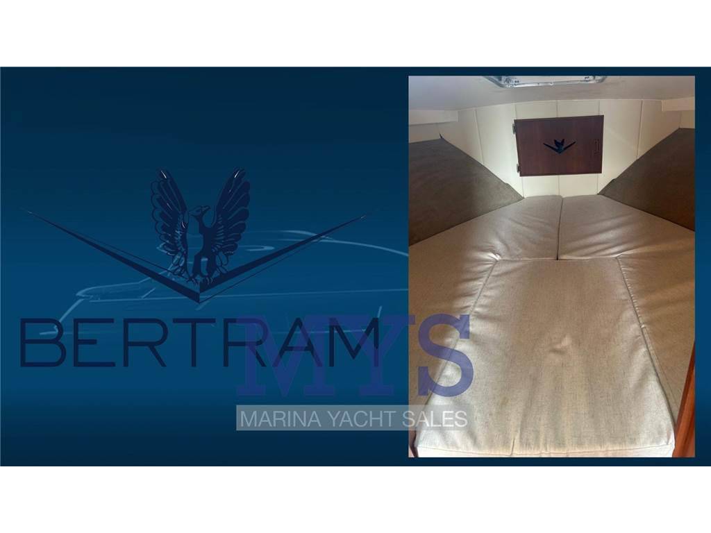Bertram yacht 28 fly