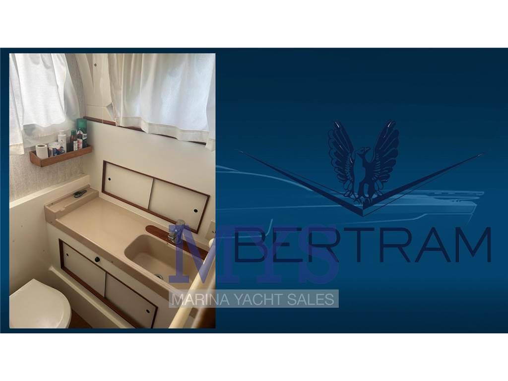 Bertram yacht 28 fly