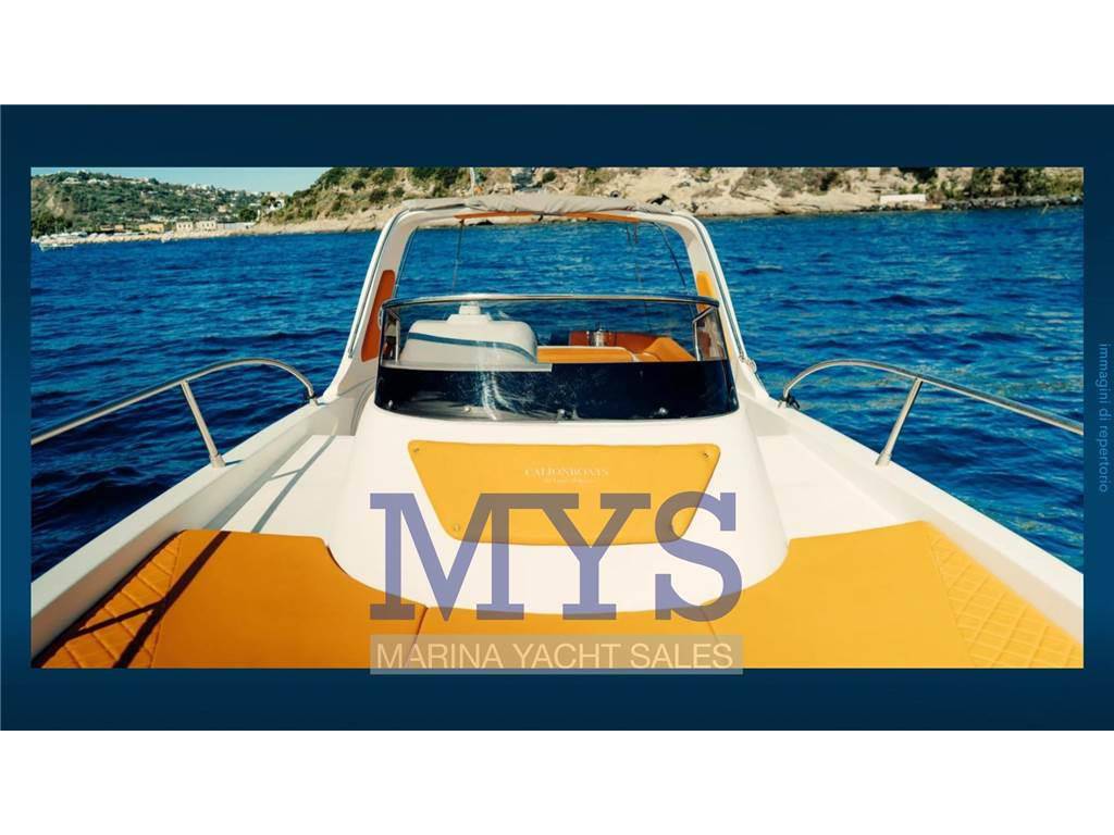 Calionboats 33 wa